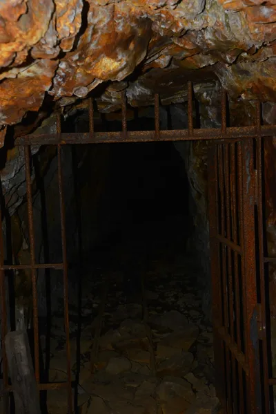 DSC_7840 (Large).JPG